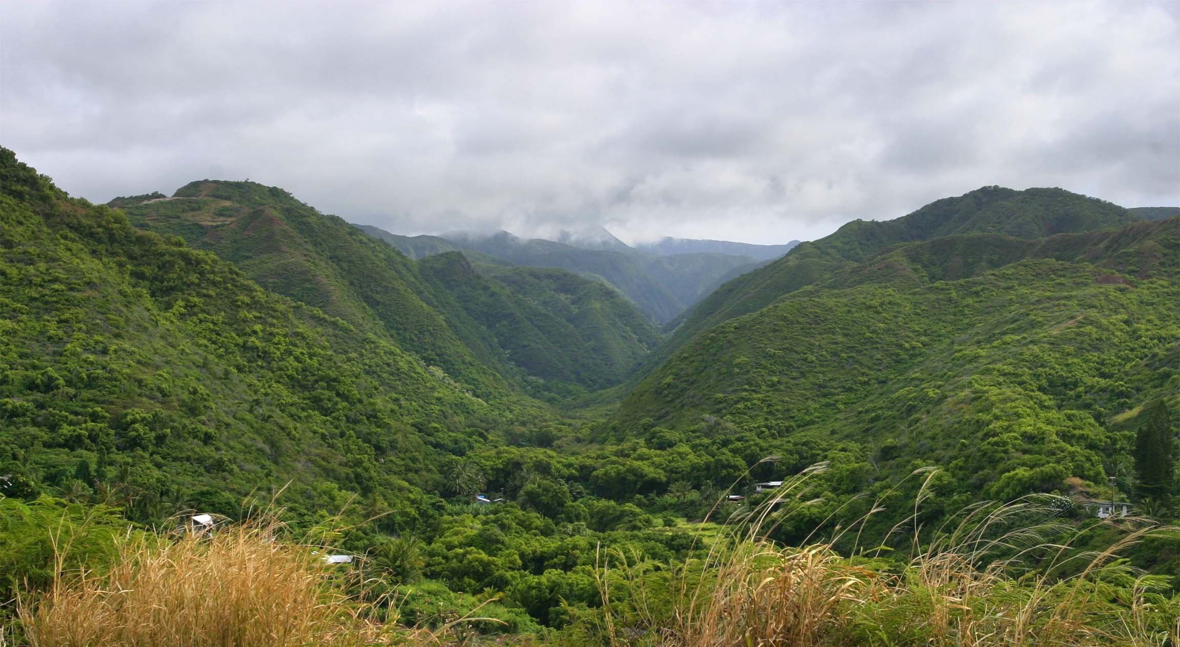 A lush green valley cradled between misty forested mountains